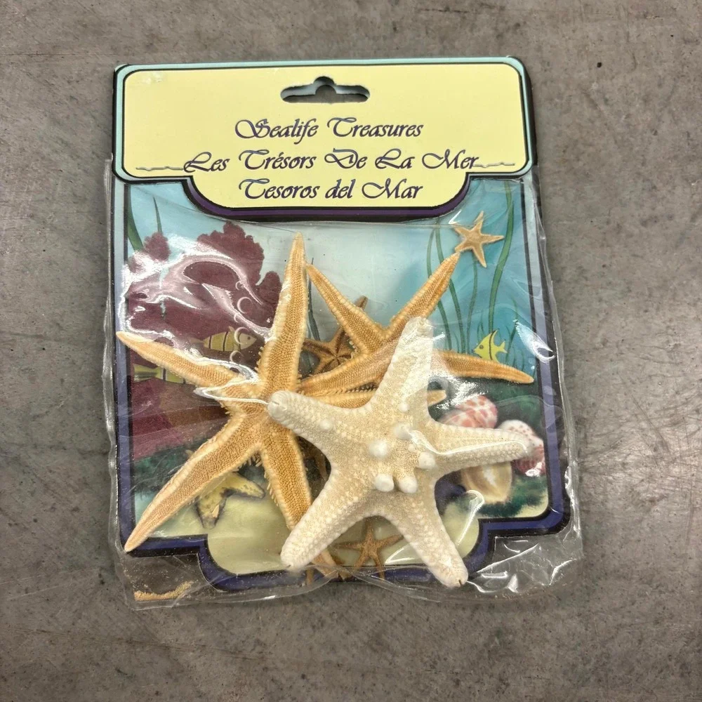 U.S. Shell Inc Natural Starfish 10 Pc Pack Beach Coastal Craft Decor NOS New